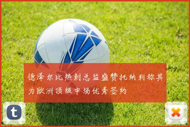 德泽尔比热刺总监盛赞托纳利称其为欧洲顶级中场优秀签约